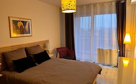 Appartement Sur Les Bords De L'Ill